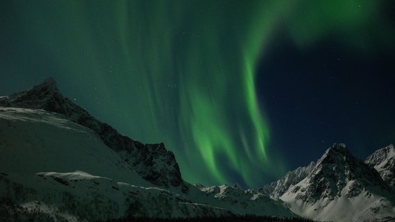 Northern_lights_©_Christian_Engelke_Arktis_Tours
