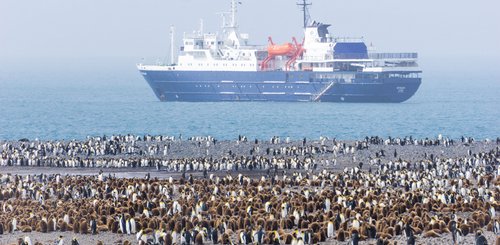 MV_Ortelius_Penguins_©_Anne_Haraldsted_Oceanwide_Expeditions