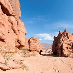 Quebrada_de_Cafayate__c__Martin_Zwick_Naturfoto