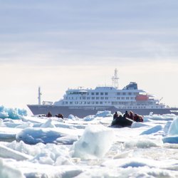MV_Hondius_Svalbard__c__Franklin_Braeckman_Oceanwide_Expeditions