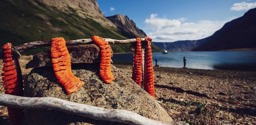 Torngat Mountains Base Camp Fisch