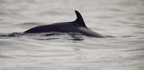 Torngat Mountains Base Camp Wal