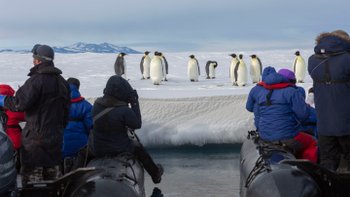 Zodiac_Emperor_Penguins_Antarctica_©_S_Blanc_Expeditions