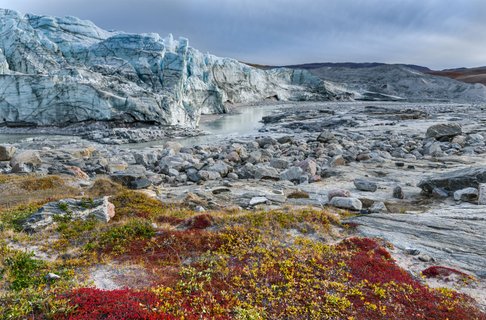 Gletscherfront_Russell_Gletscher_Kangerlussuaq_Groenland_©_Martin_Zwick_Naturfoto