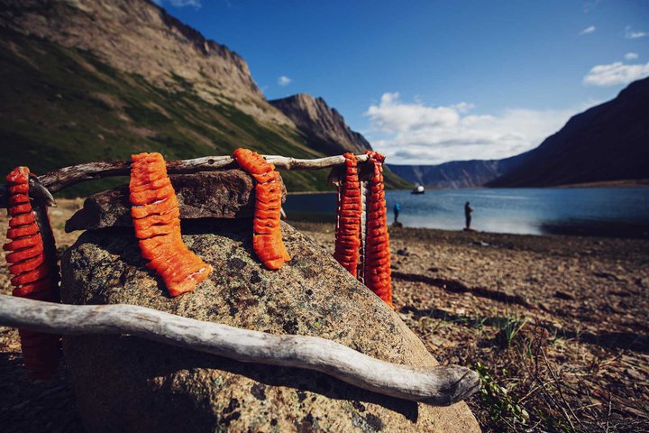 Torngat Mountains Base Camp Fisch