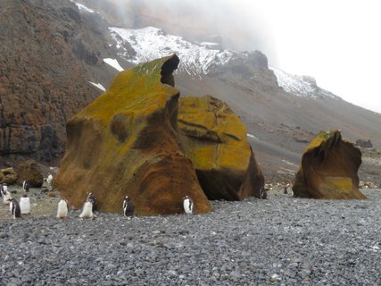 Brown_Bluff_©_Sanneke_van_der_Sanden_Oceanwide_Expeditions