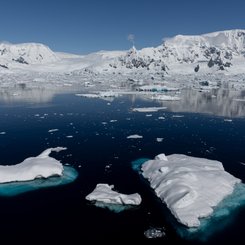 Flandres_Bay_Antarctica_©_Sara_Jenner_Oceanwide_Expeditions