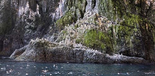 bear_island__c__Albatros_Polar_Latitudes_Expeditions