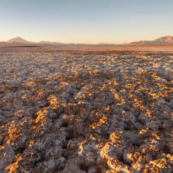 Towards_Tolar_Grandes__c__Martin_Zwick_Naturfoto