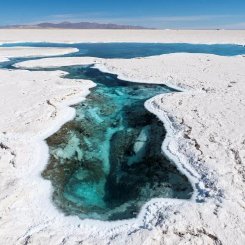 Salinas_Grandes__c__Martin_Zwick_Naturfoto