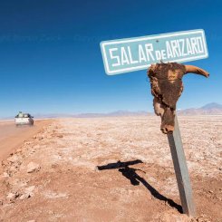 Salar_de_Arizaro__c__Martin_Zwick_Naturfoto