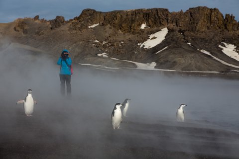 South_Shetland_Islands_©_Rolf_Stange_Oceanwide_Expeditions