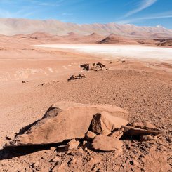 Landscape_Salar_de_Arizaro__c__Martin_Zwick_Naturfoto