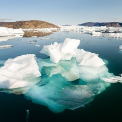 Eisberge_Uummannaq_Fjord_System_Nordwestgroenland_©_Martin_Zwick_Naturfoto