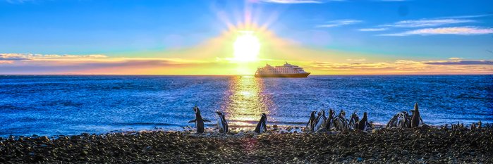 magellanic_penguins_stella_©_Cruceros_Australis