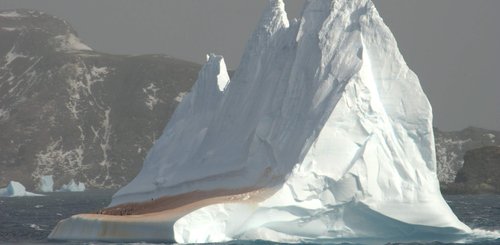 Iceberg_at_South_Orkneys_©_Hadoram_Shirihai_Oceanwide_Expeditions