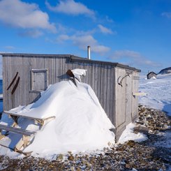 Spitzbergen_Norwegen_©_Martin_Zwick_Naturfoto