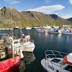 Der Hafen von Bolungarvik. Die Westfjorde (Vestfirdir) von Island_©_Martin_Zwick_Naturfoto