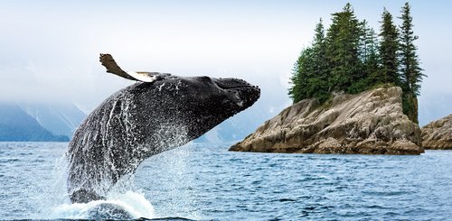 Alaska_Aleuten_©_Hapag_Lloyd_Cruises