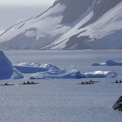 Kayaking_Port_Charcot_©_Polar_Latitudes