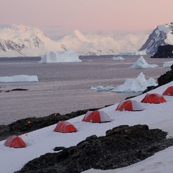 Horseshoe_Island_camping_©_Polar_Latitudes