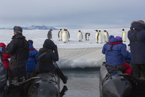 Zodiac_Emperor_Penguins_Antarctica_©_S_Blanc_Expeditions