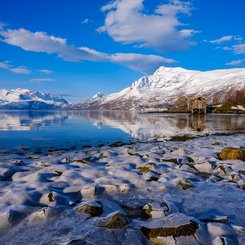 Insel_Senja_Norwegen_©_Martin_Zwick_Naturfoto