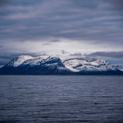 Jan_Mayen_©_Aurora_Expeditons_Unsplash