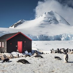 Port_Lockroy_Antarctica_©_Dietmar_Denger_Oceanwide_Expeditions