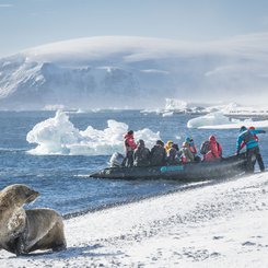Zodiac_landing_Brown_Bluff_Antarctica_©_Dietmar_Denger_Oceanwide_Expeditions
