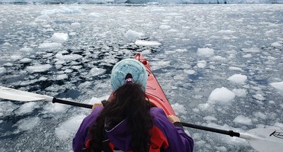 Antarctic_Kayaking_©_Sara_Jenner_Oceanwide_Expeditions