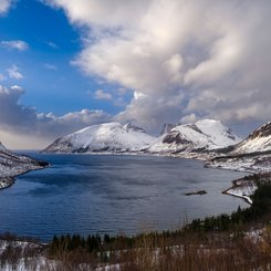 Insel_Senja_Norwegen_©_Martin_Zwick_Naturfoto