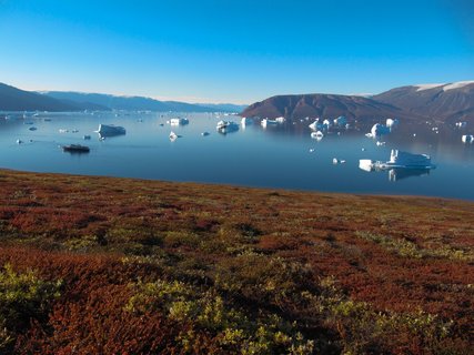 Fjord_Tundra_Greenland_©_Erwin_Vermeulen_Oceanwide_Expeditions