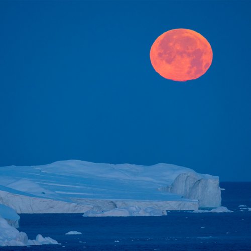 Vollmond_Eisfjord_Westgroenland_©_Martin_Zwick_Naturfoto