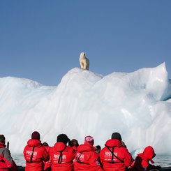 Polar_Bear_Zodiac_Svalbard_©_John_Bozinov_Poseidon_Expeditions