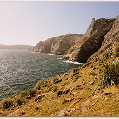 Dunbar_Cliffs_©_Kelper_Tours