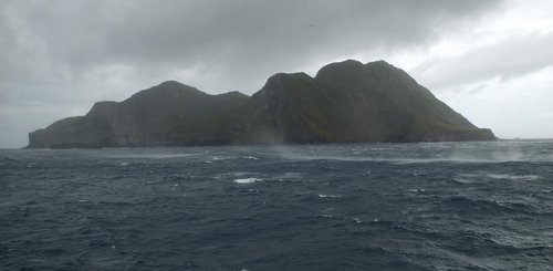 Nightingale_Island_Atlantic_Odyssey_©_Hadoram_Shirihai_Oceanwide_Expeditions