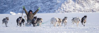 Hundeschlittenrennen  auf dem gefrorenen Fjord bei Saatut bei Uummannaq_©_Martin_Zwick_Naturfoto