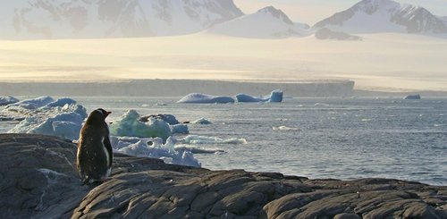 View_to_Erebus_Terror_Gulf_©_Regis_Perdriat_Oceanwide_Expeditions