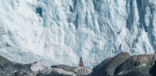 Point_Wild_Elephant_Island_©_Ross_Wheeler_Oceanwide_Expeditions