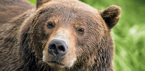 Alaska_Aleuten_©_Hapag_Lloyd_Cruises