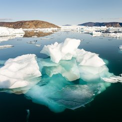 Eisberge_Uummannaq_Fjord_System_Nordwestgroenland_©_Martin_Zwick_Naturfoto