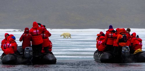 Polar_Bear_Franz_Josef_Land_©_Sergey_Gorshkov_Poseidon_Expeditions