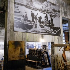 Island_Westfjorde_2022_Djupavik_Museum_©_Martin_Zwick_Naturfotografie