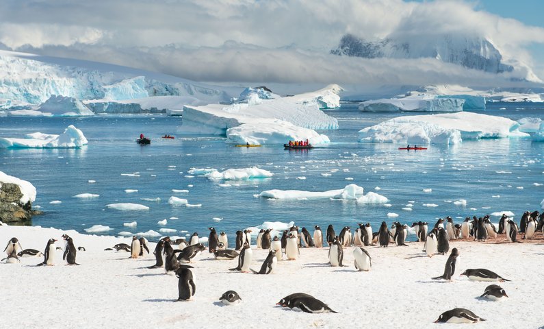 Antarctic_Kayaking_©_Anthony_Smith_Poseidon_Expeditions