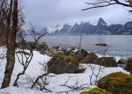 Insel_Senja_Norwegen_©_Martin_Zwick_Naturfoto