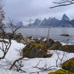 Insel_Senja_Norwegen_©_Martin_Zwick_Naturfoto