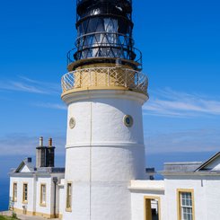 Sumburgh_Shetland_Inseln_©_Martin_Zwick_Naturfotografie