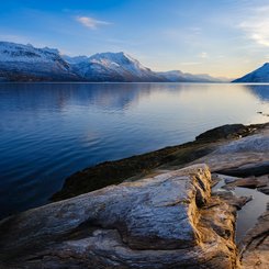 Insel_Senja_Norwegen_©_Martin_Zwick_Naturfoto