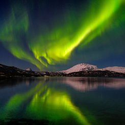 Nordlicht_Insel_Senja_Norwegen_©_Martin_Zwick_Naturfoto